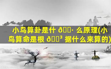 小鸟算卦是什 🌷 么原理(小鸟算命是根 🌳 据什么来算的)